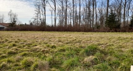 Feytiat Terrain à bâtir - 2114464-10865annonce1202503213QwTx.jpeg Maisons France Confort