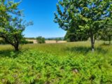 Maison à construire à Saint-Martin-Terressus (87400) 2093769-10865annonce120250228EJHzz.jpeg Maisons France Confort