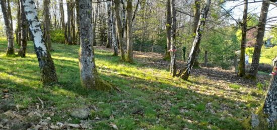 Terrain à bâtir à Ambazac, Nouvelle-Aquitaine