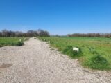 Terrain à bâtir à Montanay (69250) 2191422-10453annonce520250613fAl7U.jpeg Maisons France Confort