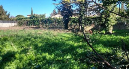 Rochefort-du-Gard Maison neuve - 2191974-695annonce4202506133pDOr.jpeg Maisons France Confort