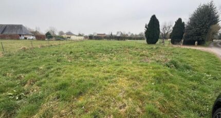 Saint-Martin-Saint-Firmin Maison neuve - 2190461-11214annonce220250611J5CTC.jpeg Maisons France Confort