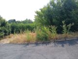 Maison à construire à Montpellier (34090) 2189885-11040annonce1202506130xWJb.jpeg Maisons France Confort