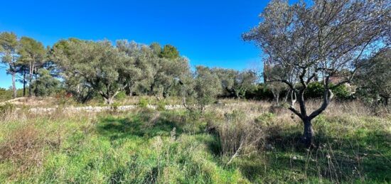 Terrain à bâtir à Bagnols-en-Forêt, Provence-Alpes-Côte d'Azur