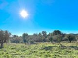 Maison à construire à Bagnols-en-Forêt (83600) 2192168-3701annonce320250614o7ZAc.jpeg Maisons France Confort