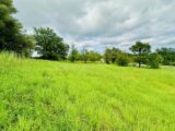 Terrain à bâtir à Roquebrune-sur-Argens (83520) 2192189-3701annonce320250614LzXfx.jpeg Maisons France Confort