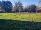 Maison à construire à Gujan-Mestras (33470) 2192672-11151annonce120250320yNsNk.jpeg Maisons France Confort