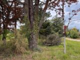 Terrain à bâtir à Arbanats (33640) 2192818-11337annonce120250615ZxddM.jpeg Maisons France Confort