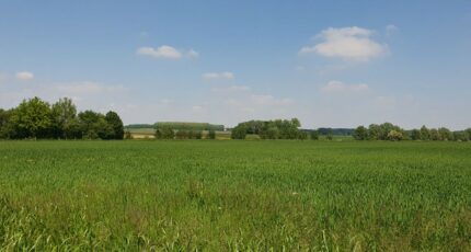Valenciennes Terrain à bâtir - 2093152-10617annonce220250228nlbZ3.jpeg Maisons France Confort