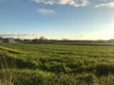 Maison à construire à Mazingarbe (62670) 2189508-5804annonce220250612fvbex.jpeg Maisons France Confort