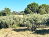 Terrain à bâtir à Roquemaure (30150) 2106740-617annonce1202310243GytK.jpeg Maisons France Confort