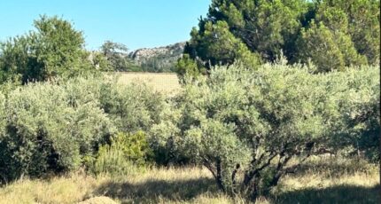 Roquemaure Terrain à bâtir - 2106740-617annonce1202310243GytK.jpeg Maisons France Confort