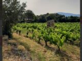 Terrain à bâtir à Vaison-la-Romaine (84110) 2106771-617annonce120231023BvaF8.jpeg Maisons France Confort