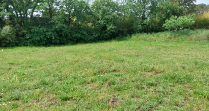 Puget-sur-Argens Maison neuve - 2193161-11157annonce120250610XaFvA.jpeg Maisons France Confort