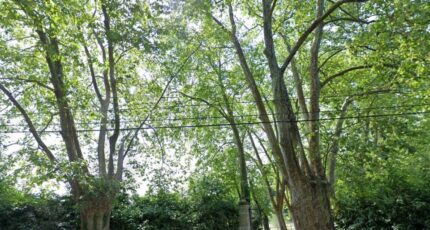Martillac Maison neuve - 2193142-11382annonce2202506164vh7a.jpeg Maisons France Confort