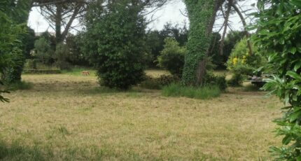 Saint-Maixant Terrain à bâtir - 2193331-9573annonce120250616sD906.jpeg Maisons France Confort