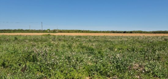 Terrain à bâtir à Aigrefeuille-d'Aunis, Nouvelle-Aquitaine