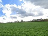 Terrain à bâtir à Azay-le-Rideau (37190) 2172017-9897annonce1202402196vf67.jpeg Maisons France Confort