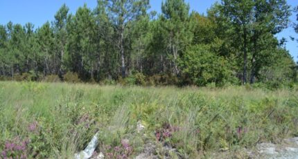 Mios Terrain à bâtir - 2194009-10890annonce220250528O89OM.jpeg Maisons France Confort