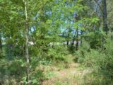 Terrain à bâtir à Avensan (33480) 2194000-10895annonce120250616fXqp1.jpeg Maisons France Confort