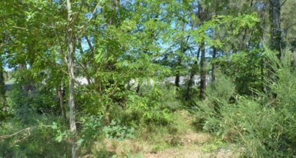 Avensan Terrain à bâtir - 2194000-10895annonce120250616fXqp1.jpeg Maisons France Confort
