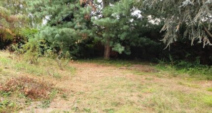 Champcueil Terrain à bâtir - 2192526-4353annonce120250615uw11L.jpeg Maisons France Confort