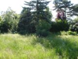 Maison à construire à Maisse (91720) 2192535-4353annonce120250615EVHHm.jpeg Maisons France Confort