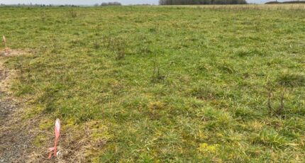 Taillebourg Terrain à bâtir - 2194200-11194annonce220250617WNOWS.jpeg Maisons France Confort