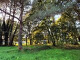 Maison à construire à Vensac (33590) 2193848-11260annonce120250616LFPps.jpeg Maisons France Confort