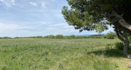 Floure Terrain à bâtir - 2194590-11456annonce120250617c3AX3.jpeg Maisons France Confort