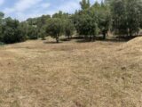 Terrain à bâtir à Taradeau (83460) 2194563-10122annonce4202506175gm5H.jpeg Maisons France Confort