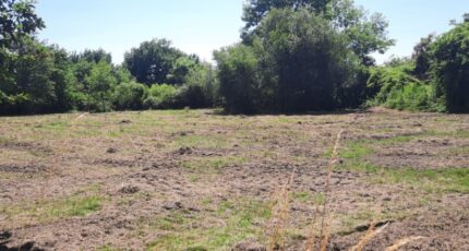 Mios Terrain à bâtir - 2194740-11151annonce120250617WaT6F.jpeg Maisons France Confort