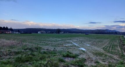 Les Issards Terrain à bâtir - 2193470-3133annonce120250616D0rKs.jpeg Maisons France Confort