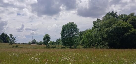 Terrain à bâtir à Carignan-de-Bordeaux, Nouvelle-Aquitaine
