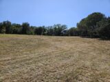 Terrain à bâtir à Roquebrune-sur-Argens (83520) 2195131-5163annonce420250617Za3uA.jpeg Maisons France Confort