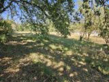 Terrain à bâtir à Roquebrune-sur-Argens (83520) 2195190-5163annonce3202506179B0Rs.jpeg Maisons France Confort