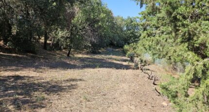 Roquebrune-sur-Argens Terrain à bâtir - 2195232-5163annonce1202506171XR5O.jpeg Maisons France Confort