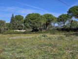 Terrain à bâtir à Puget-sur-Argens (83480) 2195260-5163annonce120250617c1lIk.jpeg Maisons France Confort