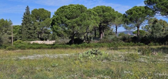 Terrain à bâtir à Puget-sur-Argens, Provence-Alpes-Côte d'Azur