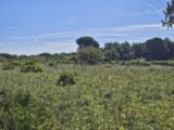 Terrain à bâtir à Puget-sur-Argens (83480) 2195360-5163annonce4202502204Sf3S.jpeg Maisons France Confort