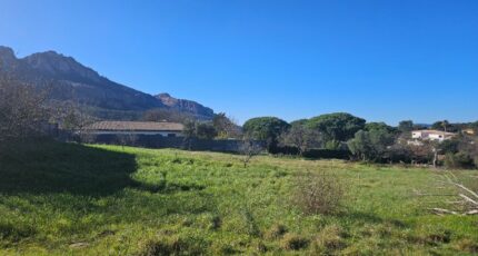 Roquebrune-sur-Argens Terrain à bâtir - 2195384-5163annonce2202502209zc39.jpeg Maisons France Confort