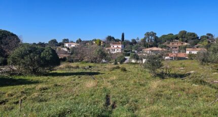 Roquebrune-sur-Argens Terrain à bâtir - 2195384-5163annonce420250220p97Sn.jpeg Maisons France Confort