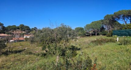 Roquebrune-sur-Argens Terrain à bâtir - 2195379-5163annonce3202502200GeH8.jpeg Maisons France Confort