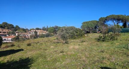 Roquebrune-sur-Argens Terrain à bâtir - 2195379-5163annonce420250220OcI2z.jpeg Maisons France Confort