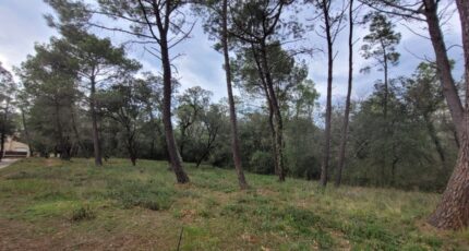 Suze-la-Rousse Terrain à bâtir - 2196007-812annonce120250618BIJla.jpeg Maisons France Confort