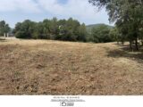 Terrain à bâtir à Taradeau (83460) 2196066-3951annonce320250618fShLi.jpeg Maisons France Confort