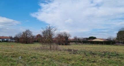 Lavernose-Lacasse Maison neuve - 2194937-10326annonce220250617NZcse.jpeg Maisons France Confort