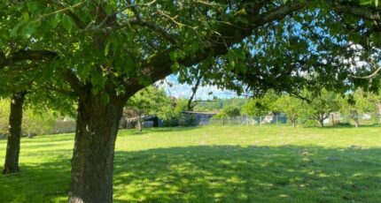 Maisse Maison neuve - 2193388-10829annonce1202506169TZoX.jpeg Maisons France Confort
