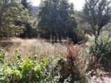 Terrain à bâtir à Plan-d’Aups-Sainte-Baume (83640) 2196224-10682annonce320250618pmXJJ.jpeg Maisons France Confort