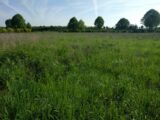 Terrain à bâtir à Nanteuil-lès-Meaux (77100) 2193892-10730annonce32025061623dzi.jpeg Maisons France Confort